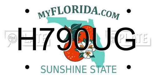H790UG Florida License Plate