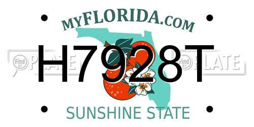 H7928T Florida License Plate