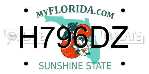 H796DZ Florida License Plate