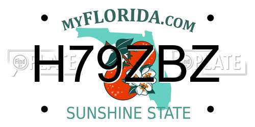 H79ZBZ Florida License Plate