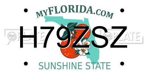 H79ZSZ Florida License Plate