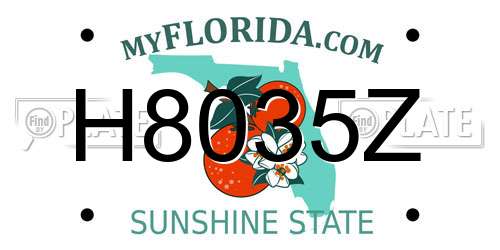 H8035Z Florida License Plate