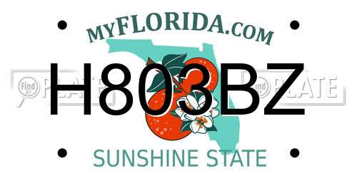 H803BZ Florida License Plate