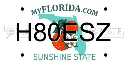 H80ESZ Florida License Plate