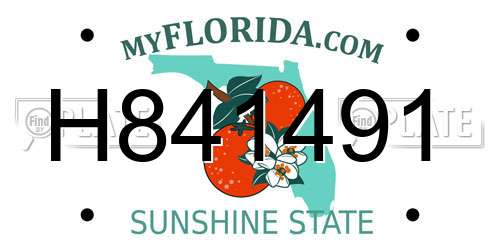 H841491 Florida License Plate