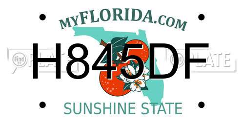 H845DF Florida License Plate
