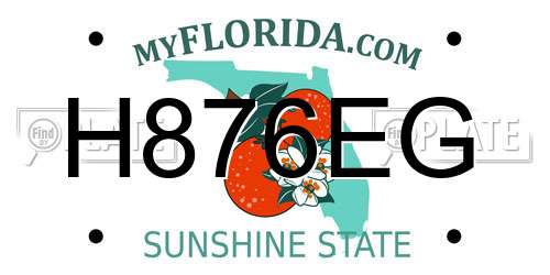 H876EG Florida License Plate