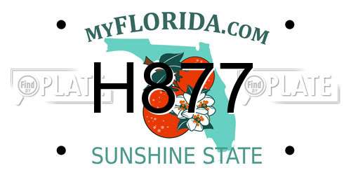 H877 Florida License Plate