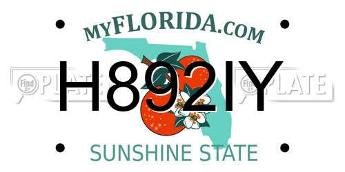 H892IY Florida License Plate