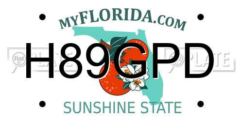 H89GPD Florida License Plate