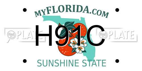 H91C Florida License Plate