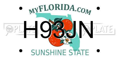 H93JN Florida License Plate
