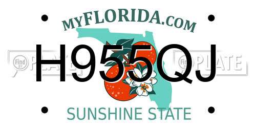 H955QJ Florida License Plate