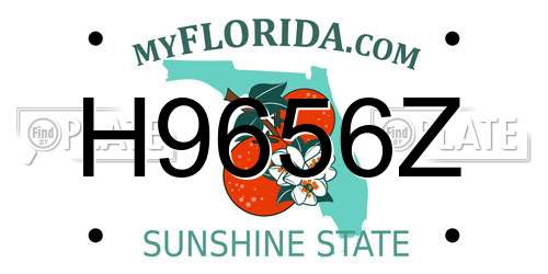 H9656Z Florida License Plate