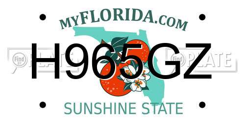 H965GZ Florida License Plate