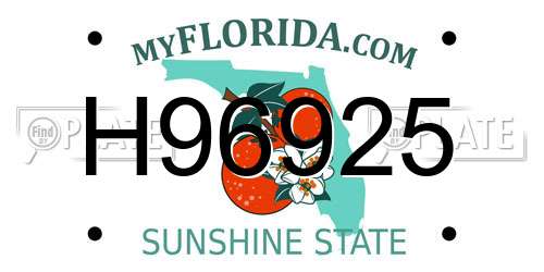 H96925 Florida License Plate