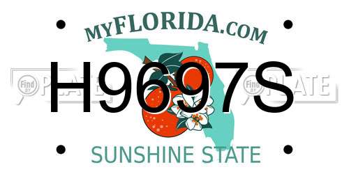 H9697S Florida License Plate