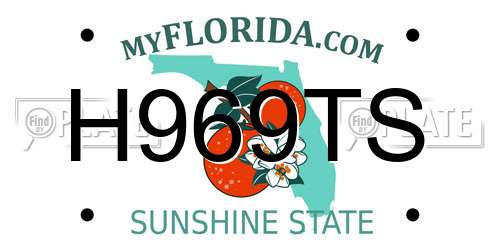H969TS Florida License Plate