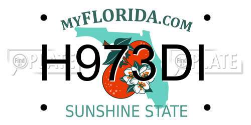 H973DI Florida License Plate