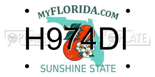 H974DI Florida License Plate