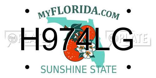 H974LG Florida License Plate