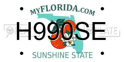 H990SE Florida License Plate