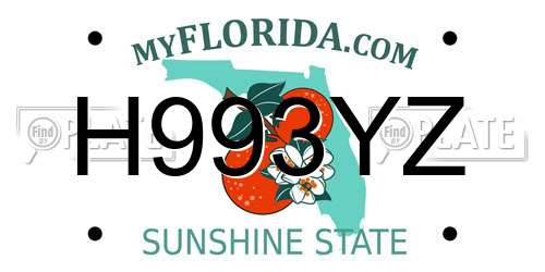 H993YZ Florida License Plate