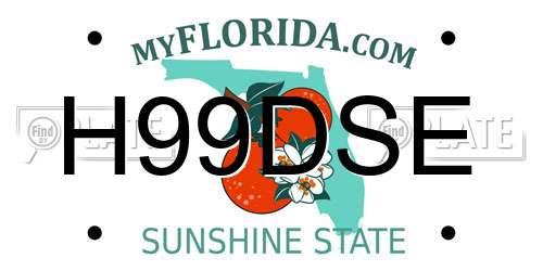H99DSE Florida License Plate