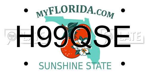 H99QSE Florida License Plate