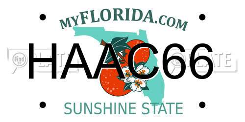 HAAC66 Florida License Plate