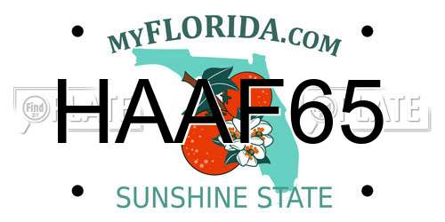 HAAF65 Florida License Plate