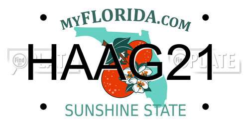 HAAG21 Florida License Plate