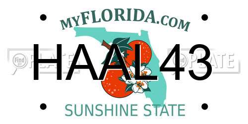 HAAL43 Florida License Plate