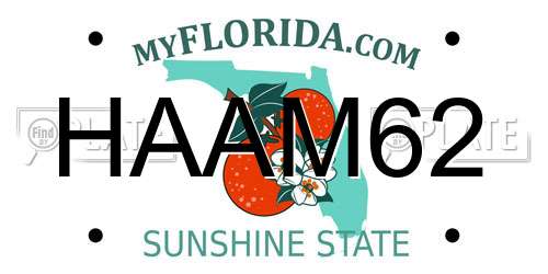 HAAM62 Florida License Plate