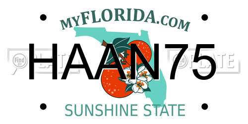 HAAN75 Florida License Plate