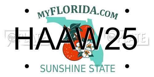 HAAW25 Florida License Plate