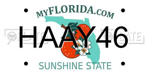 HAAY46 Florida License Plate