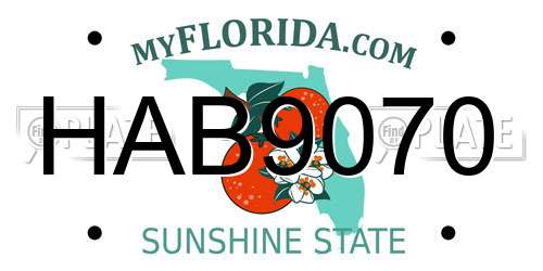 HAB9070 Florida License Plate