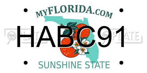 HABC91 Florida License Plate