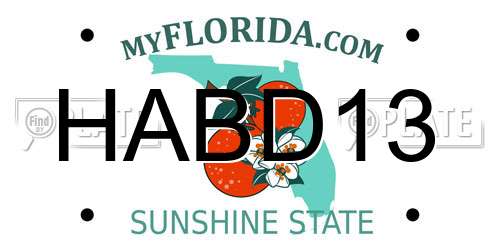 HABD13 Florida License Plate