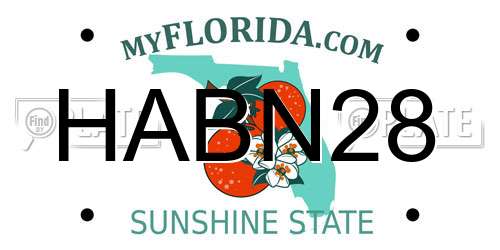 HABN28 Florida License Plate