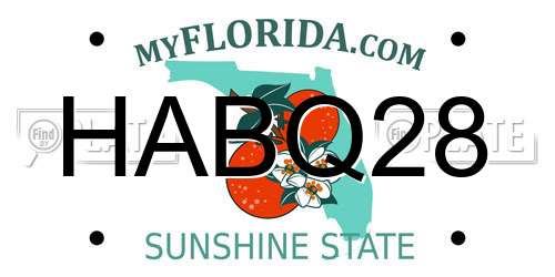 HABQ28 Florida License Plate