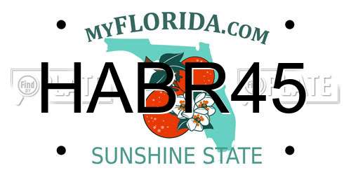 HABR45 Florida License Plate