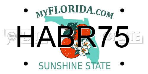 HABR75 Florida License Plate