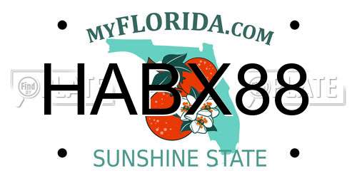 HABX88 Florida License Plate