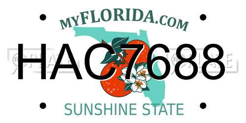HAC7688 Florida License Plate