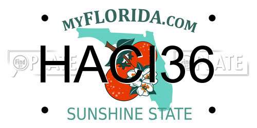 HACI36 Florida License Plate