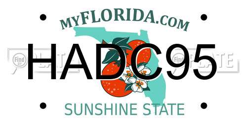 HADC95 Florida License Plate