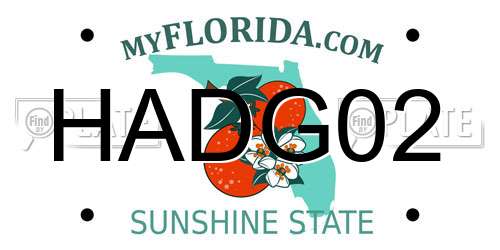 HADG02 Florida License Plate
