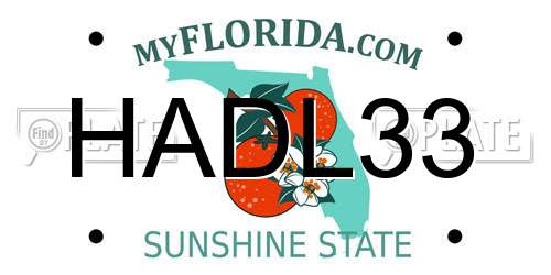 HADL33 Florida License Plate